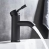 Robinet de lavabo, mélangeur Matt Noir