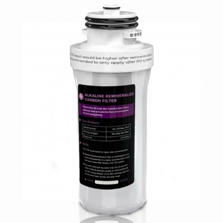 Remplacement du post-filtre à eau en ligne à triple action